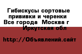 Гибискусы сортовые, прививки и черенки - Все города, Москва г.  »    . Иркутская обл.